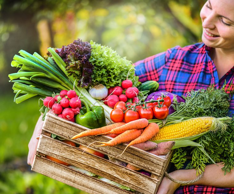 Farmer woman holding wooden basket full of fresh raw vegetables including cabbage, carrots, cucumbers, radish, corn, garlic and peppers. All great foods to boost your immune system and eat well.