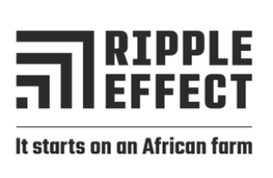 The Ripple Effect