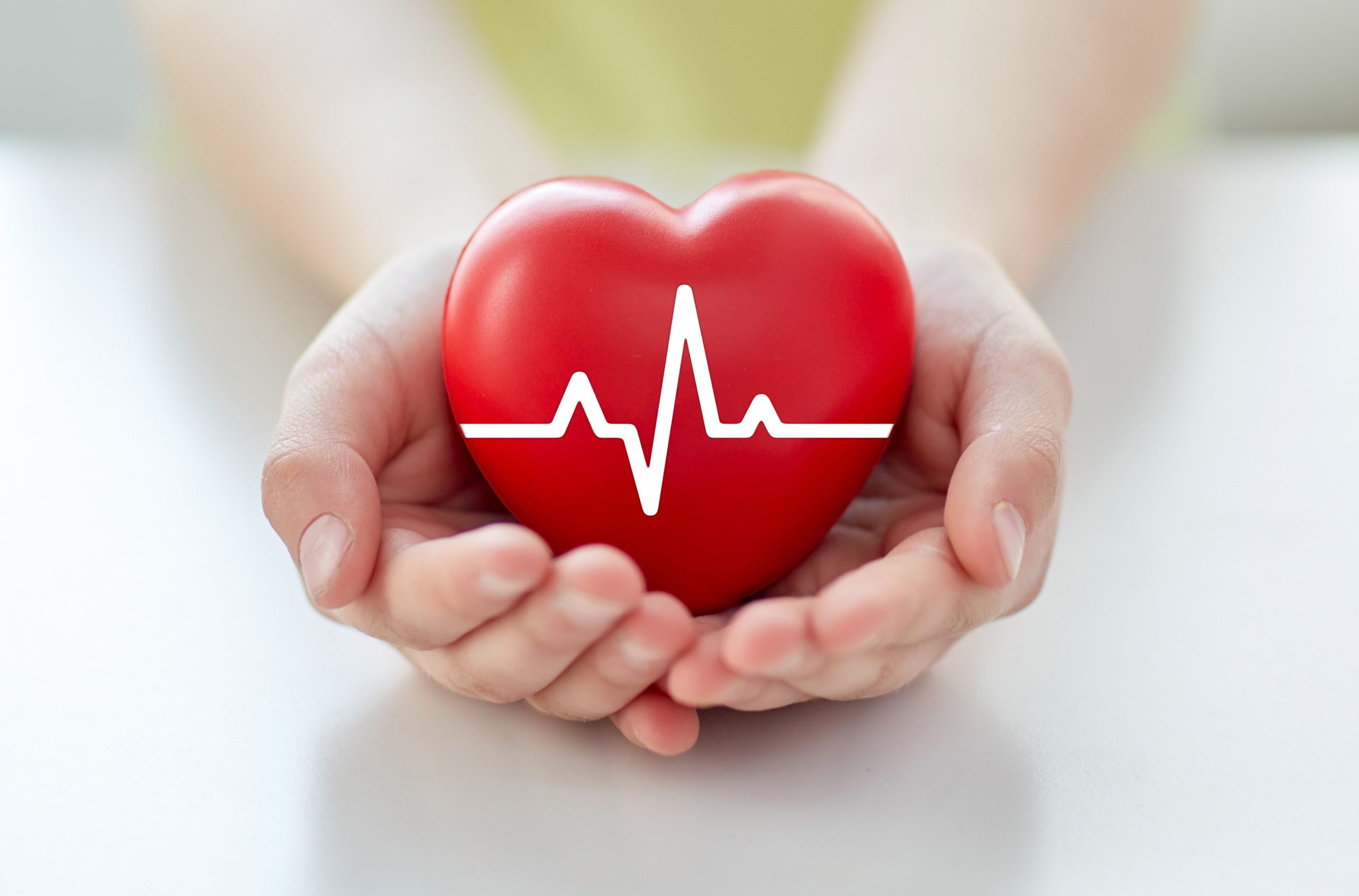 Two hands cupped together holding a small red haert shape with a white cardiogram line trace printed on it.