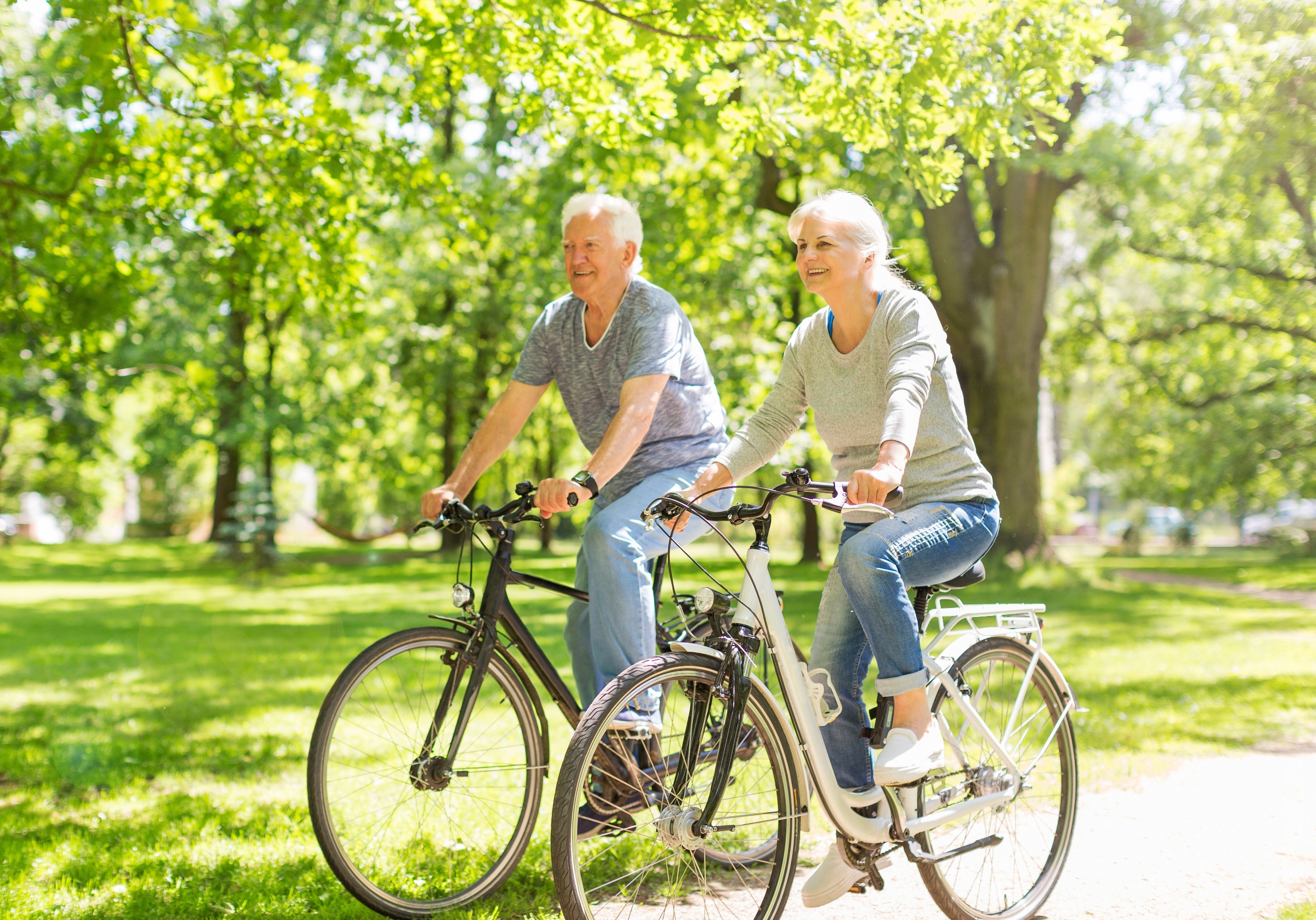 Aerobic exercise. A senior couple cycling through a park on a sunny day