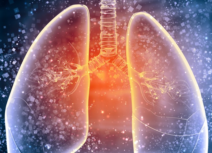 Styalised image of human lungs with glittery particles in and around the image representing bacteria attacking the immune system